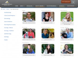 Freelance Joomla Project