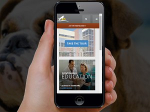 Freelance Joomla Project