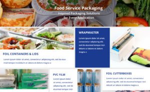 WPInnova Website Concept Design